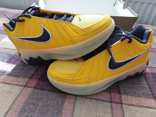 Nike air max lebron - max, 95